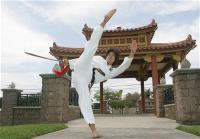duc-dang-taekwondo-instructor-kim-anh-roundhouse-kick