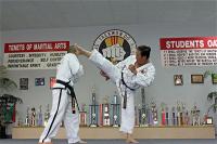 duc-dang-taekwondo-hook-kick