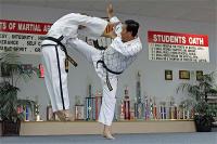 duc-dang-taekwondo-roundhouse-kick